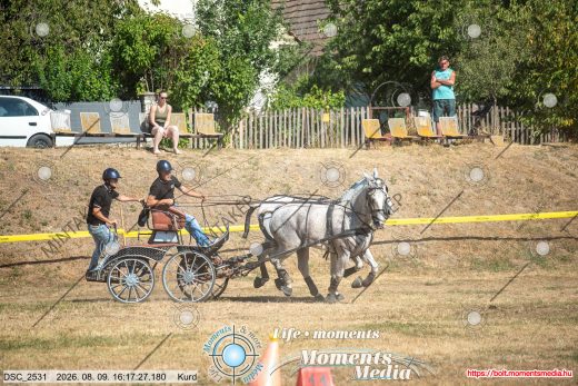 Mintakép 20260809-649