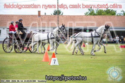 Mintakép 20260614-760