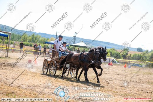 Mintakép 20260809-664