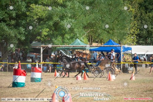 Mintakép 20260809-673