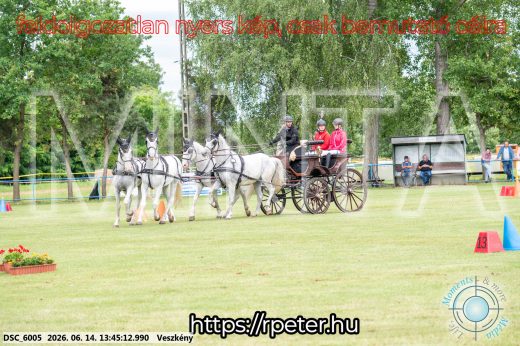 Mintakép 20260614-761