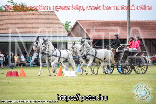 Mintakép 20260614-762