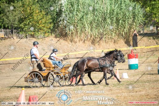 Mintakép 20260809-691