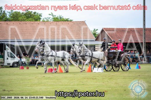 Mintakép 20260614-763