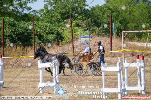 Mintakép 20260809-695