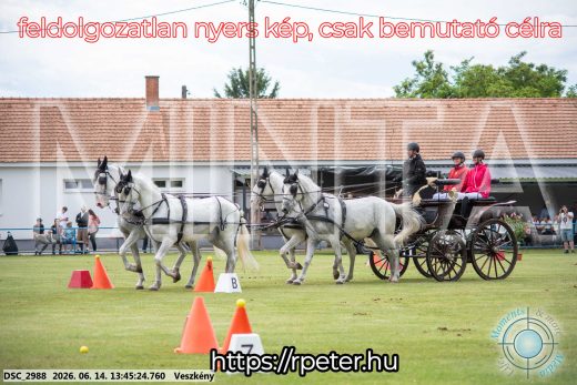 Mintakép 20260614-766