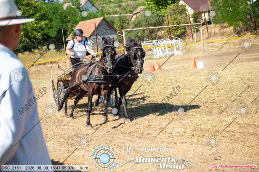 Mintakép 20260809-721