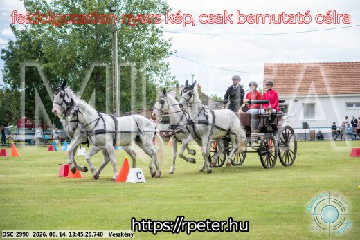 Mintakép 20260614-767