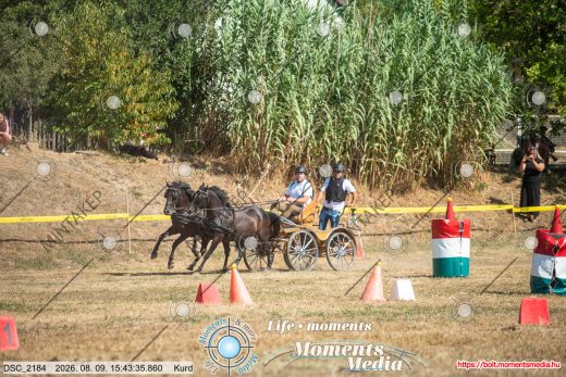 Mintakép 20260809-740