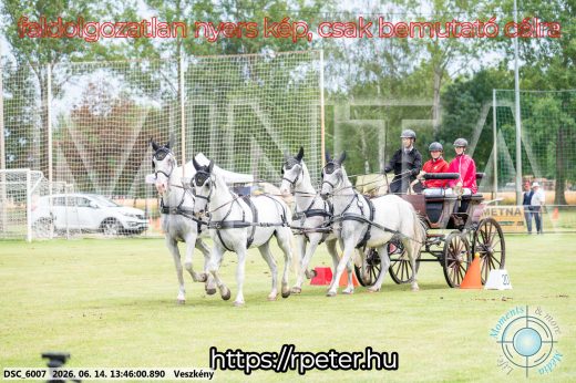 Mintakép 20260614-769