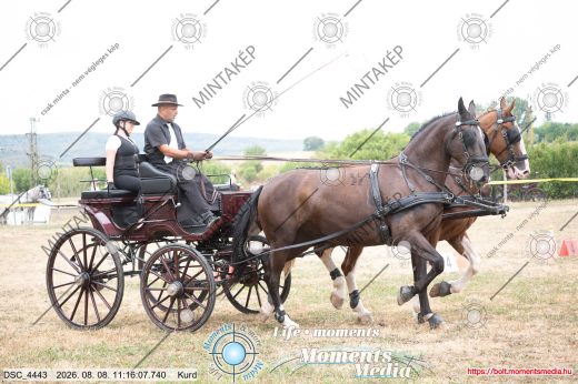 Mintakép 20260808-192