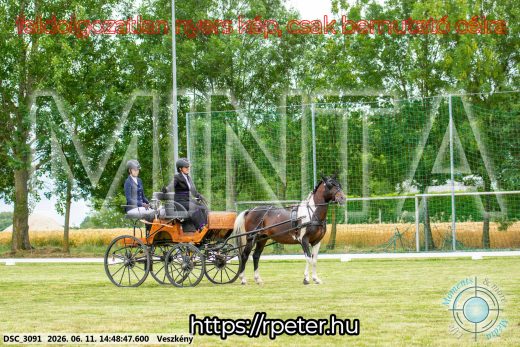 20260611-144847-DSC_3091.jpg