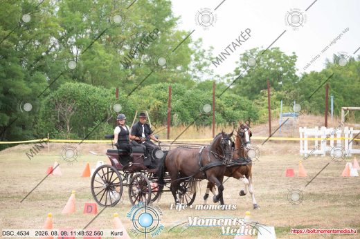 Mintakép 20260808-228