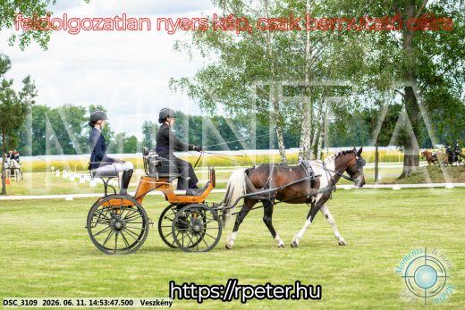 Mintakép 20260611-67