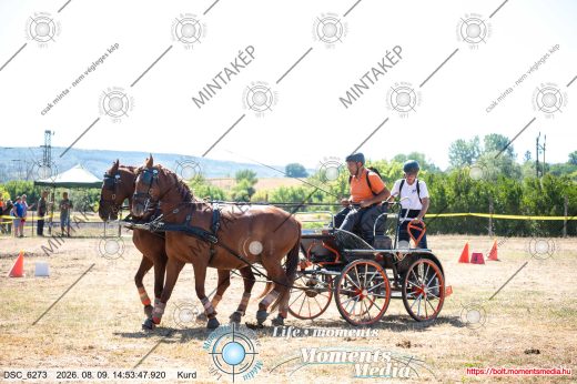 Mintakép 20260809-744