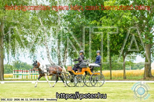 Mintakép 20260611-69