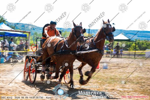 Mintakép 20260809-780