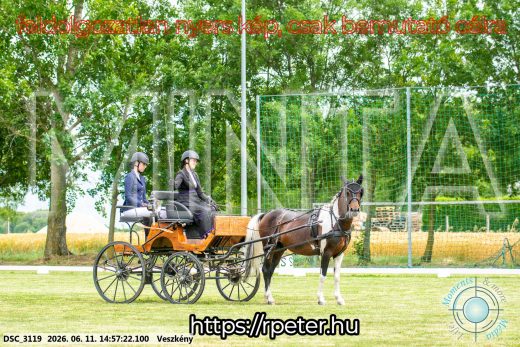 Mintakép 20260611-72