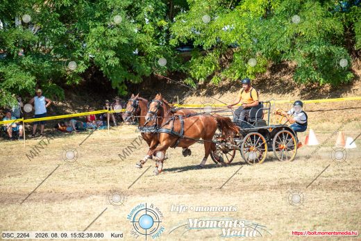 Mintakép 20260809-784