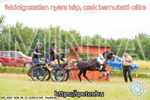 Mintakép 20260613-1589