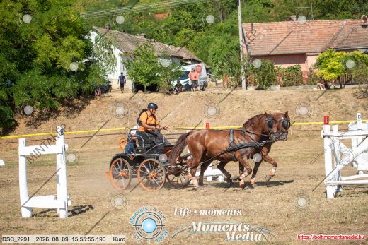 Mintakép 20260809-803