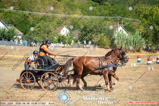 Mintakép 20260809-805