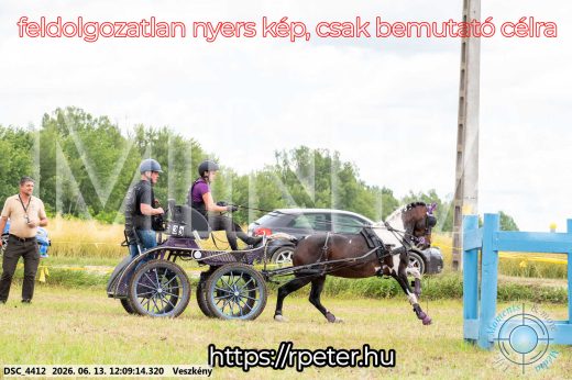 Mintakép 20260613-1590