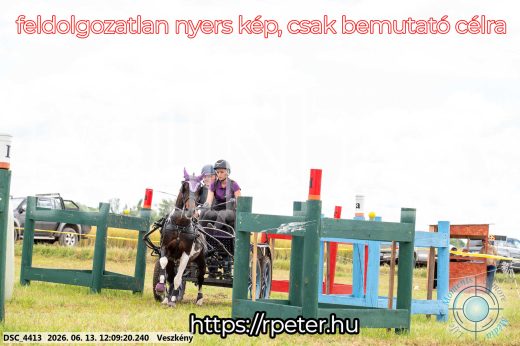 Mintakép 20260613-1591