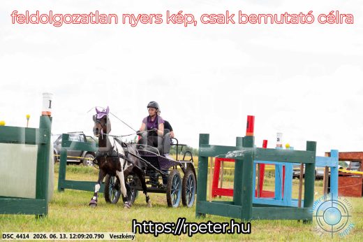 Mintakép 20260613-1592