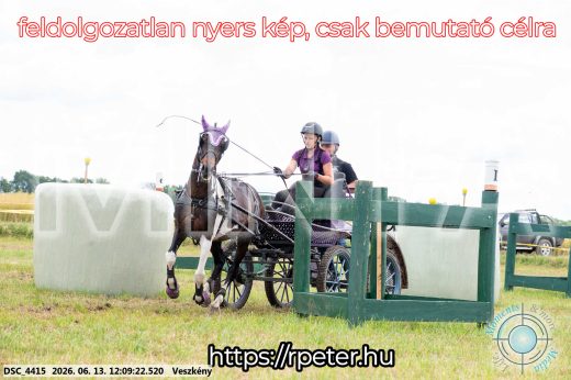 Mintakép 20260613-1593