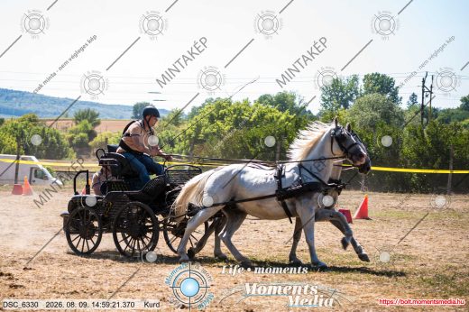 Mintakép 20260809-813