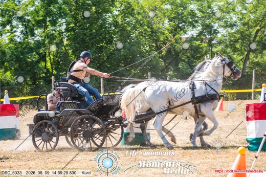 Mintakép 20260809-814