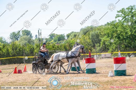 Mintakép 20260809-817