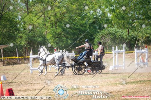 Mintakép 20260809-826