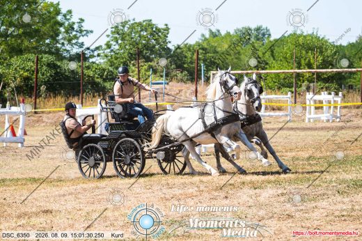 Mintakép 20260809-828