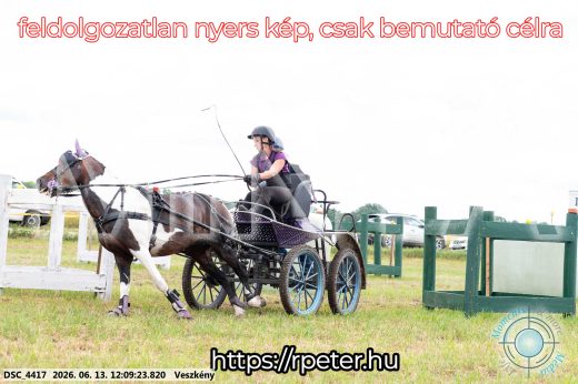 Mintakép 20260613-1595