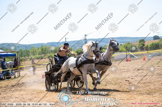 Mintakép 20260809-831