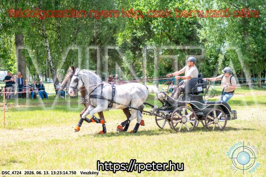 Mintakép 20260613-135