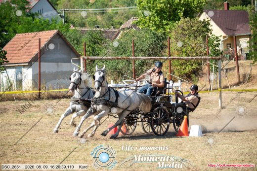 Mintakép 20260809-844