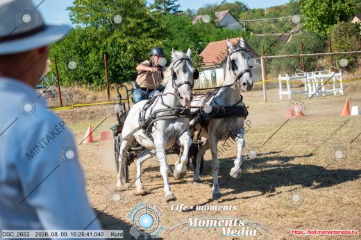 Mintakép 20260809-845
