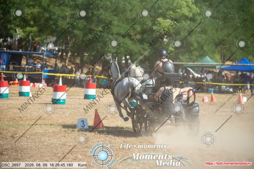 Mintakép 20260809-847