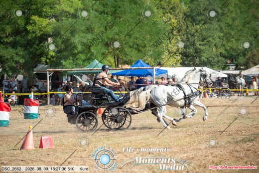 Mintakép 20260809-849
