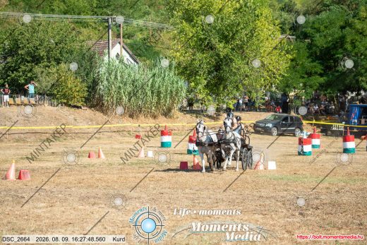 Mintakép 20260809-851
