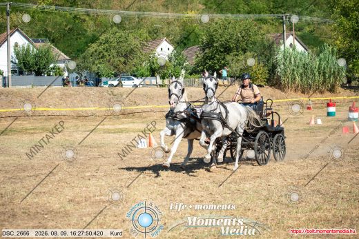 Mintakép 20260809-852