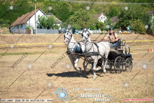 Mintakép 20260809-853
