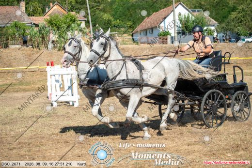 Mintakép 20260809-855