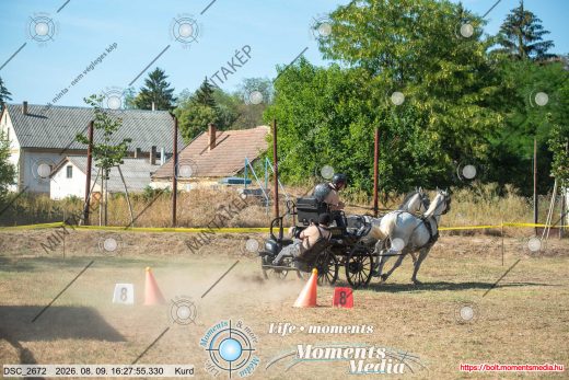 Mintakép 20260809-856
