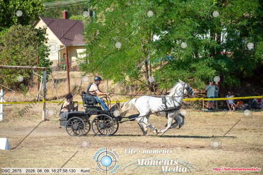 Mintakép 20260809-858