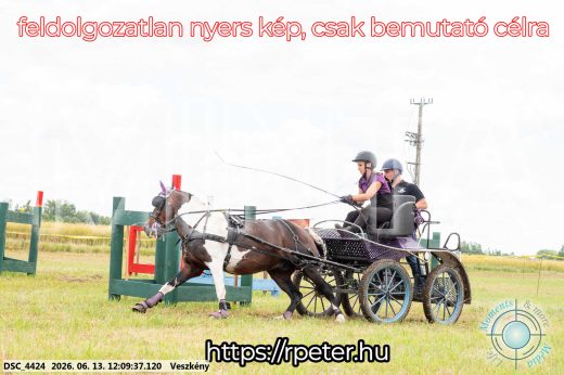 Mintakép 20260613-1598