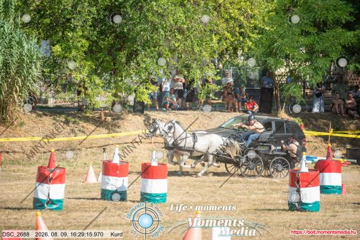 Mintakép 20260809-867